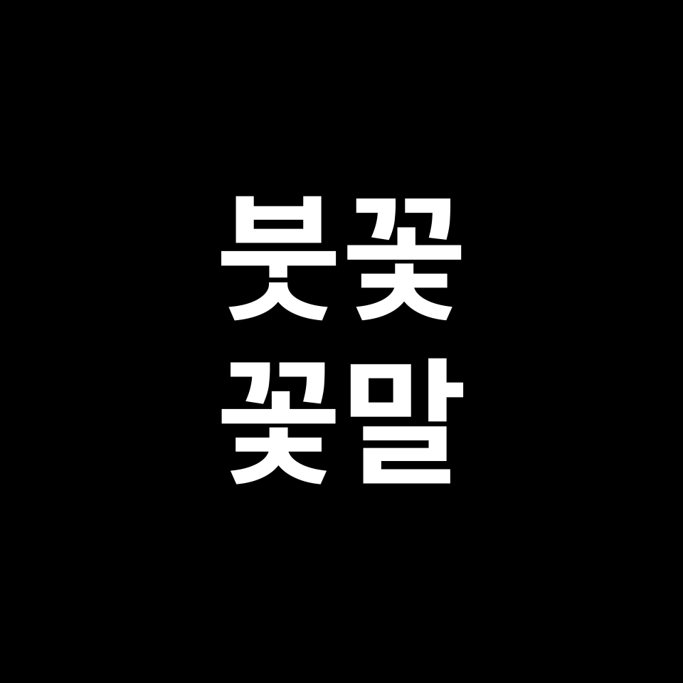 붓꽃 꽃말 썸네일