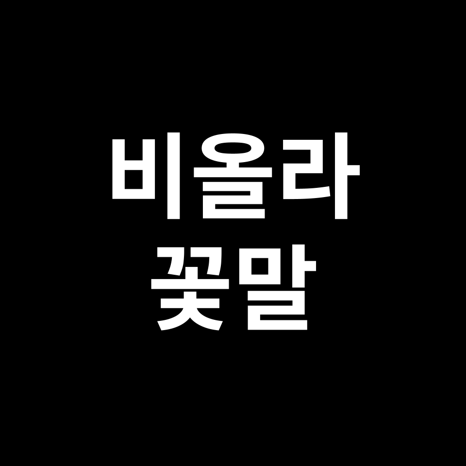 비올라 꽃말 썸네일