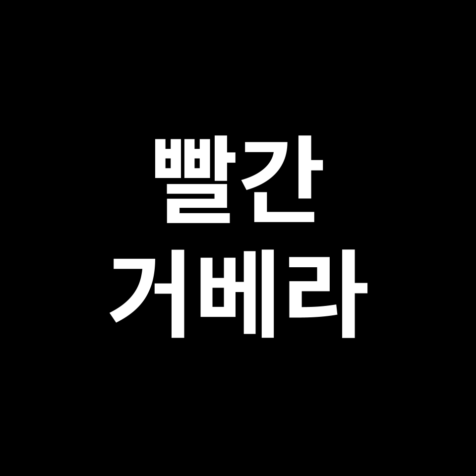 빨간 거베라 꽃말 썸네일