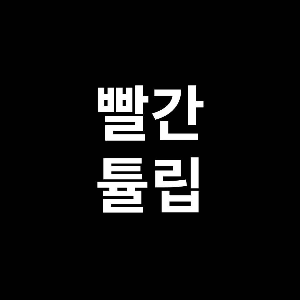 빨간 튤립 꽃말 썸네일