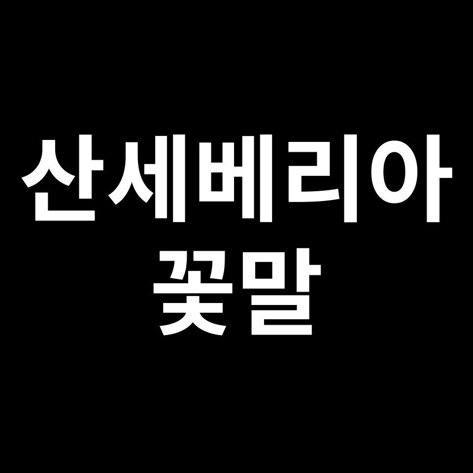 산세베리아 꽃말 썸네일