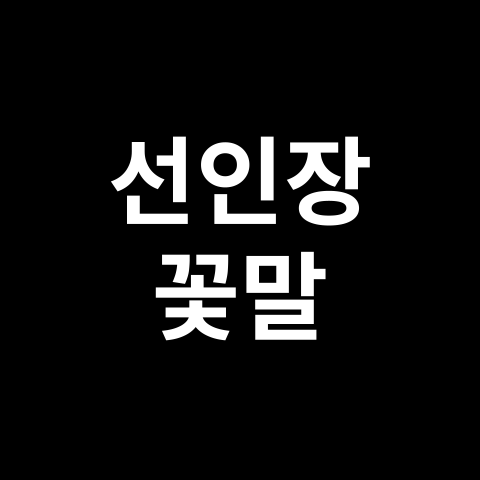 선인장 꽃말 썸네일