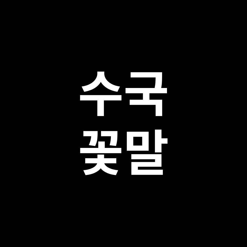 수국 꽃말 썸네일
