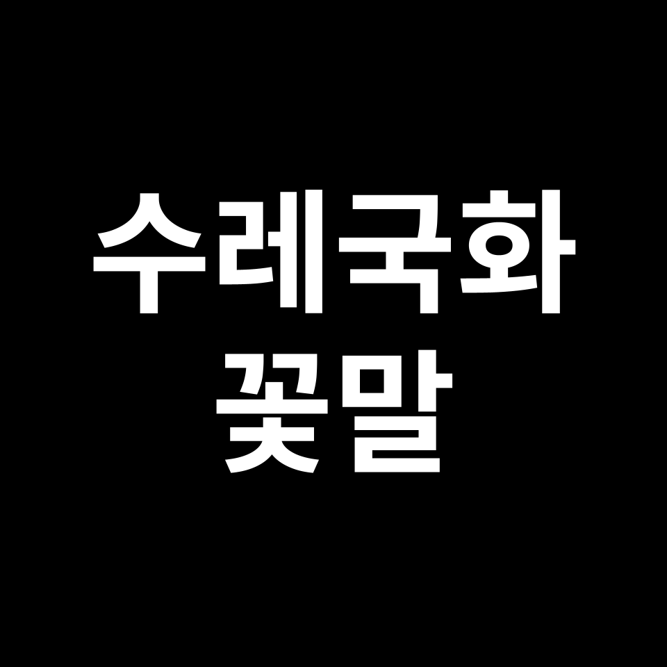 수레국화 꽃말 썸네일