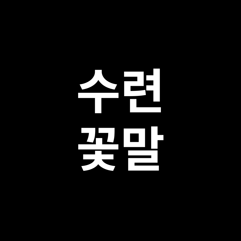 수련 꽃말 썸네일