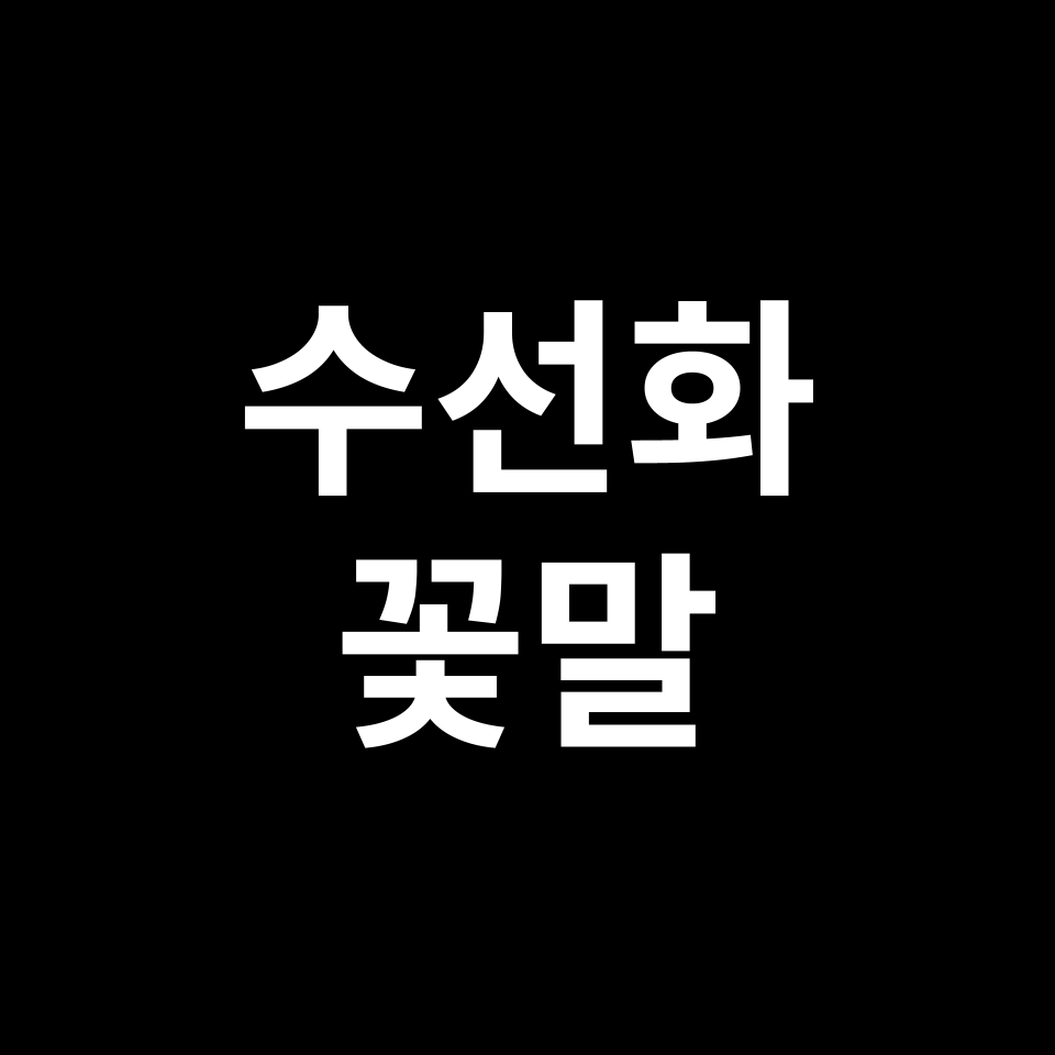 수선화 꽃말 썸네일