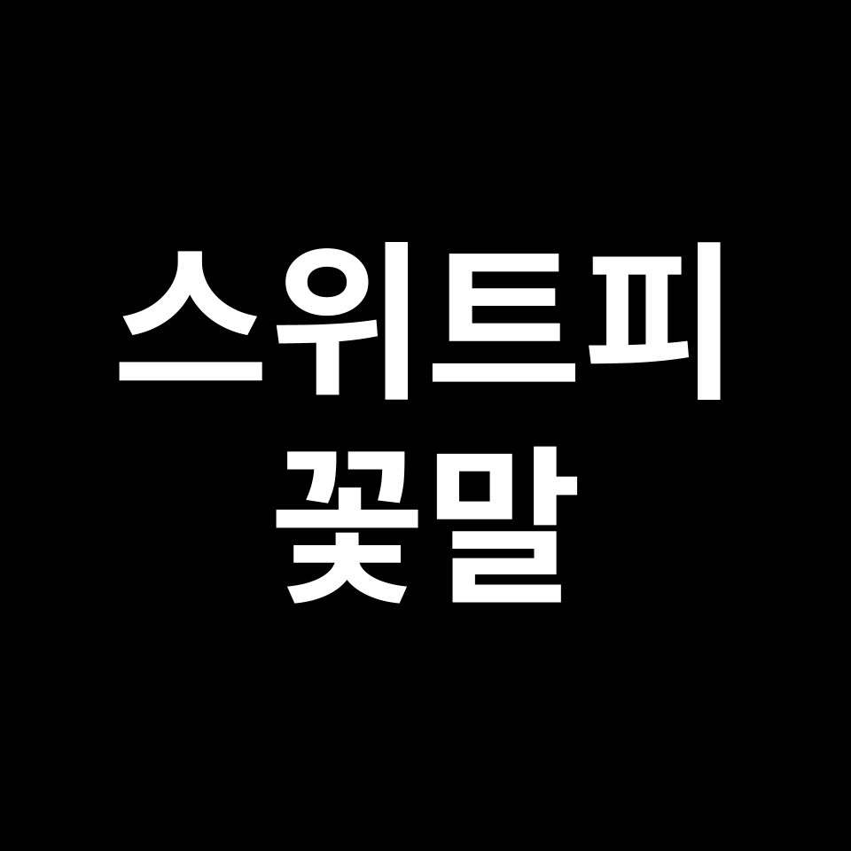 스위트피 꽃말 썸네일