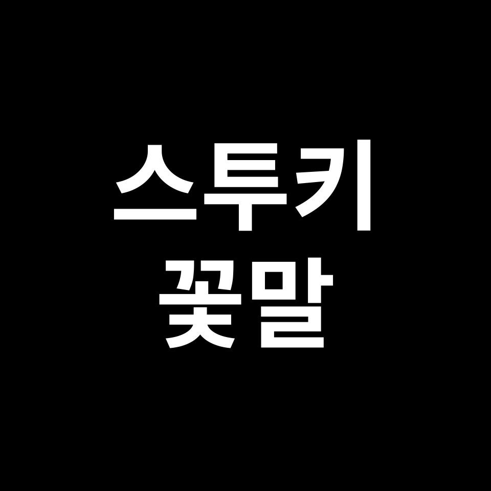 스투키 꽃말 썸네일