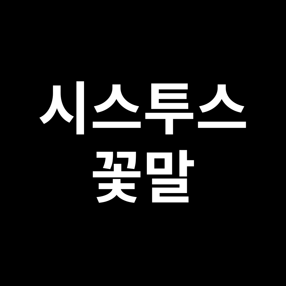 시스투스 꽃말 썸네일