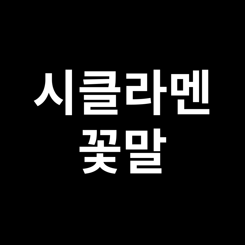 시클라멘 꽃말 썸네일