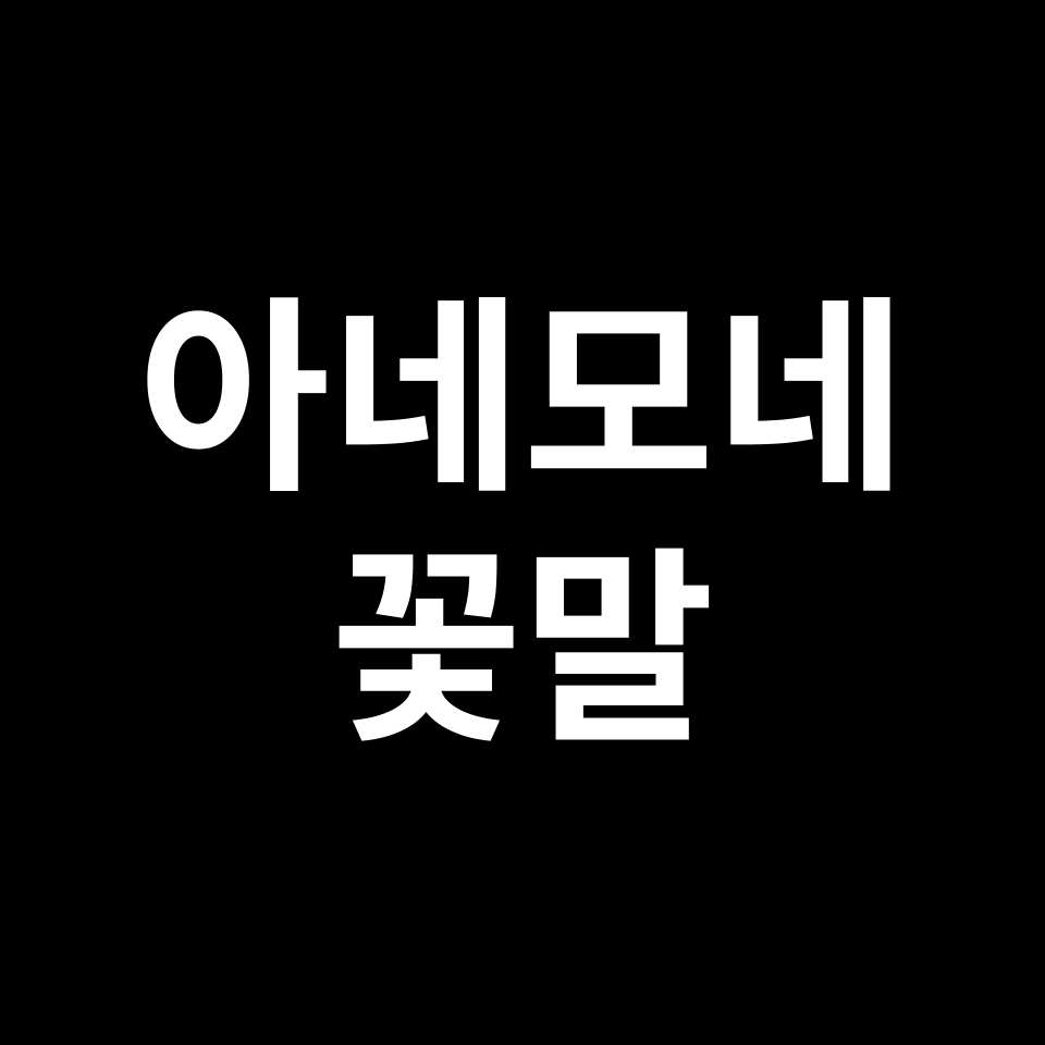 아네모네 꽃말 썸네일
