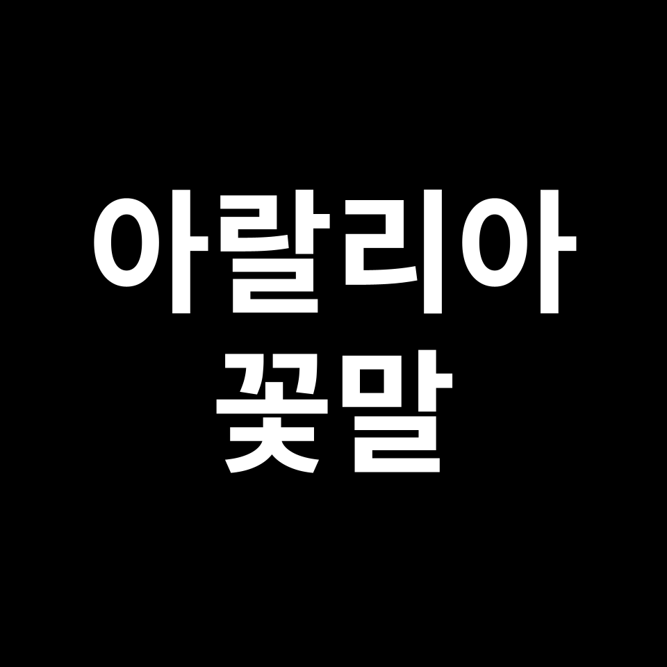 아랄리아 꽃말 썸네일