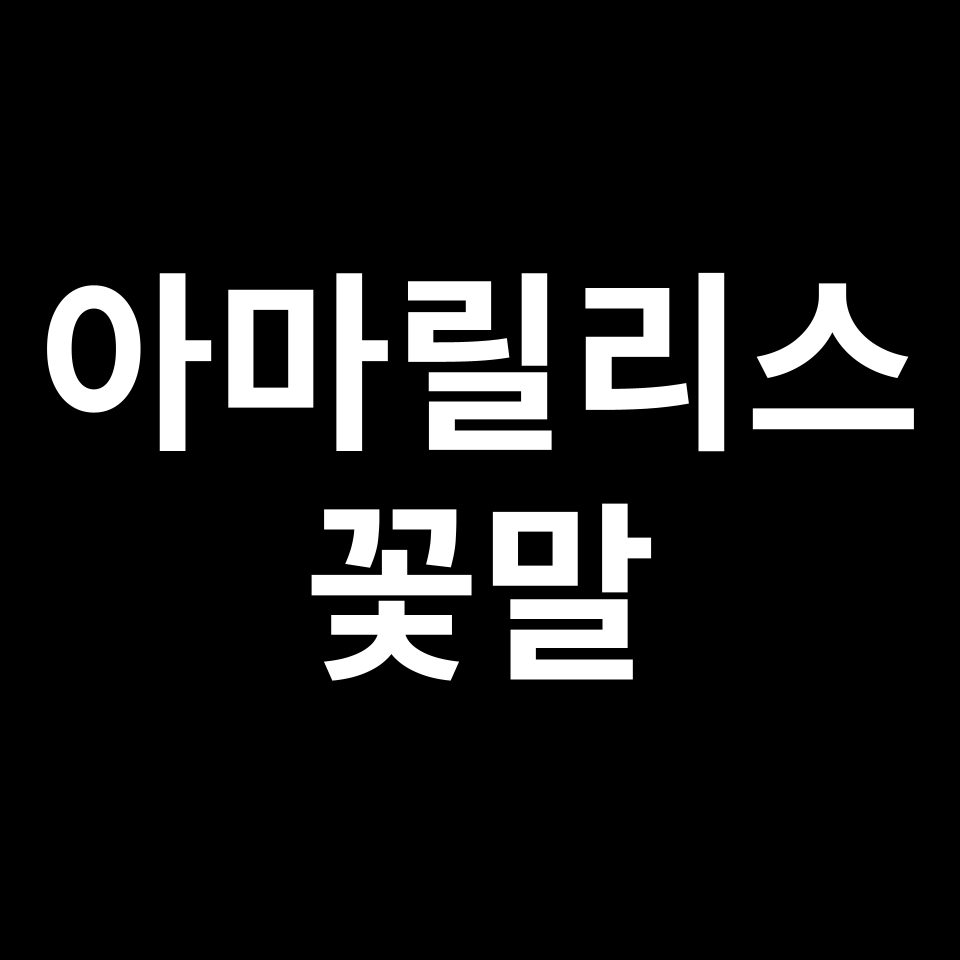아마릴리스 꽃말 썸네일