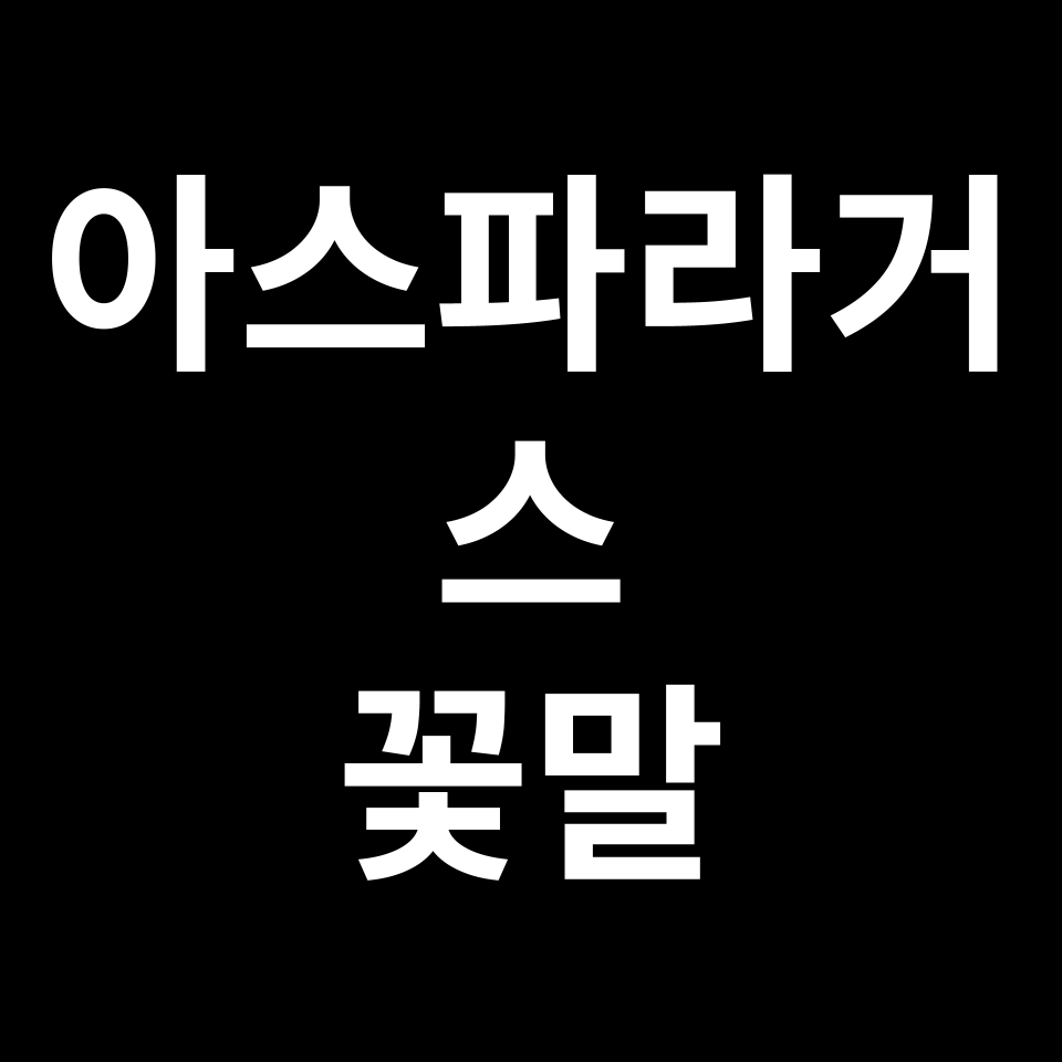 아스파라거스 꽃말 썸네일