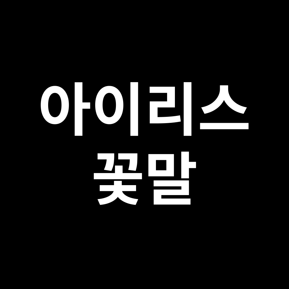 아이리스 꽃말 썸네일