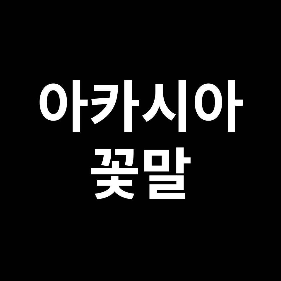 아카시아 꽃말 썸네일