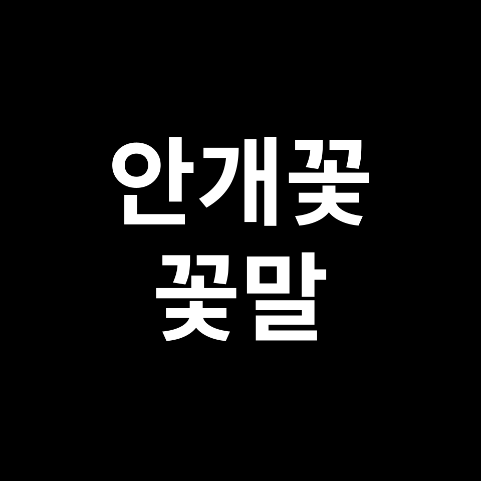 안개꽃 꽃말 썸네일