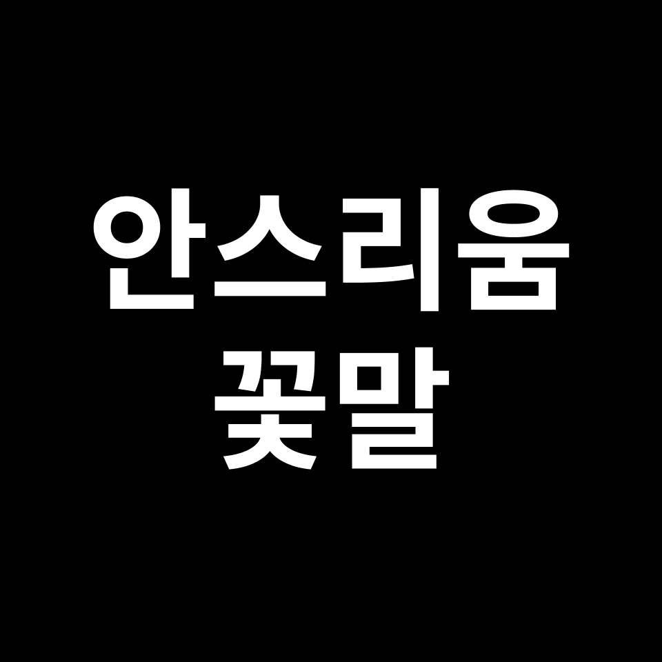안스리움 꽃말 썸네일