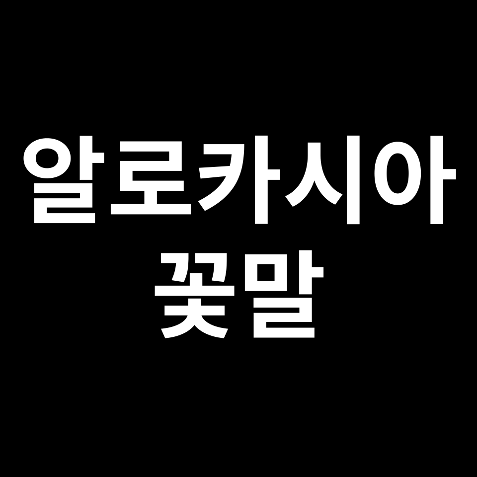 알로카시아 꽃말 썸네일
