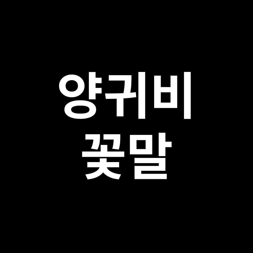 양귀비 꽃말 썸네일
