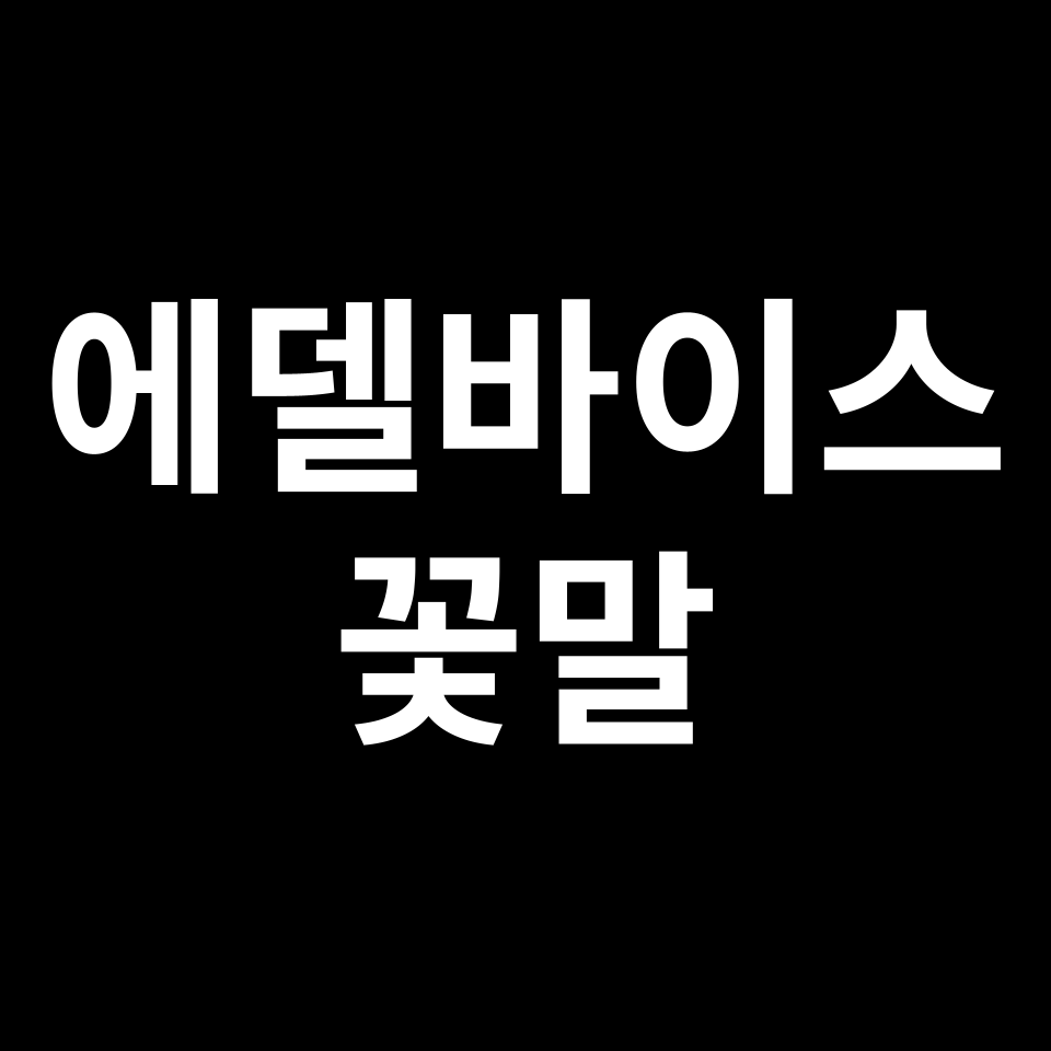 에델바이스 꽃말 썸네일