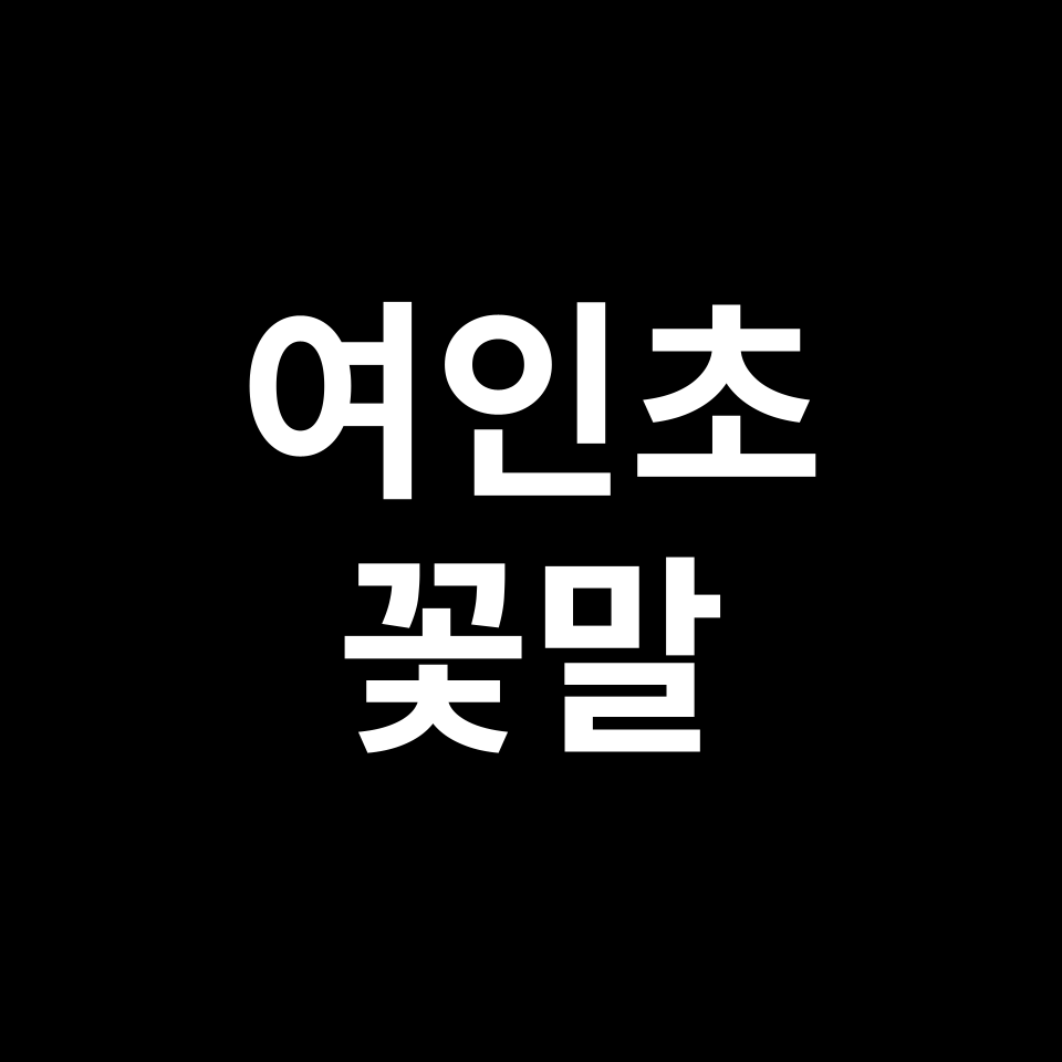 여인초 꽃말 썸네일