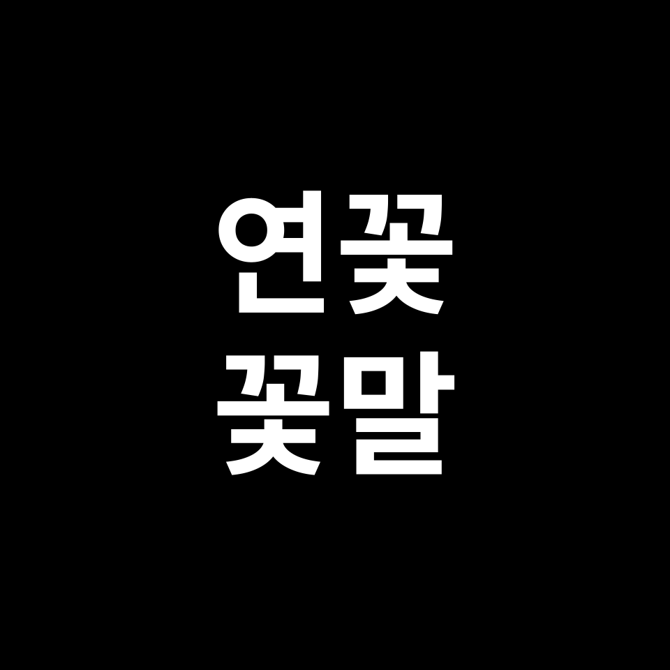연꽃 꽃말 썸네일