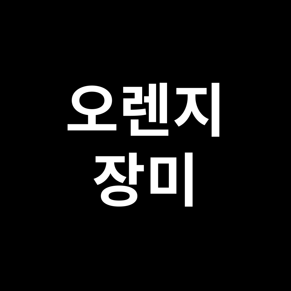 오렌지 장미 꽃말 썸네일