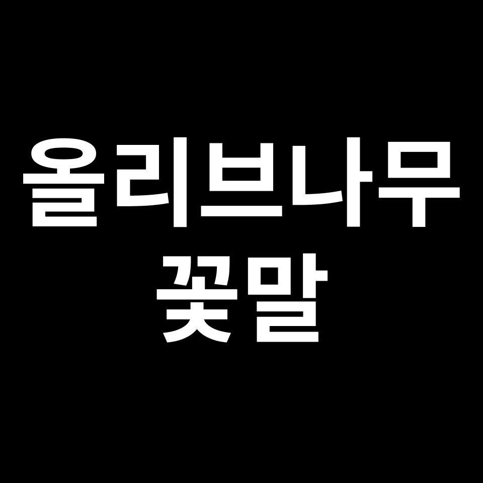 올리브나무 꽃말 썸네일