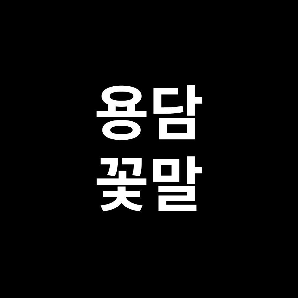 용담 꽃말 썸네일