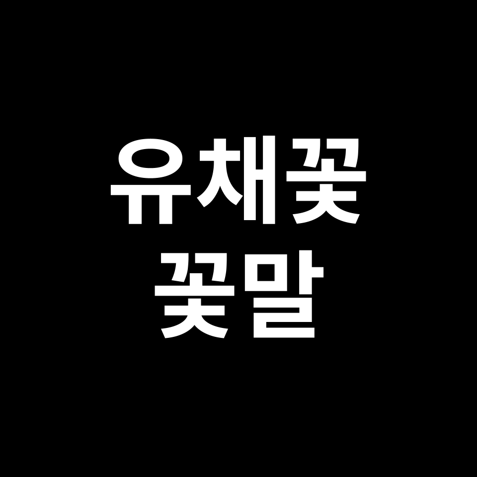 유채꽃 꽃말 썸네일