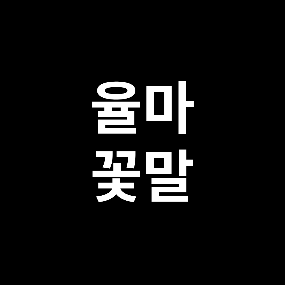 율마 꽃말 썸네일