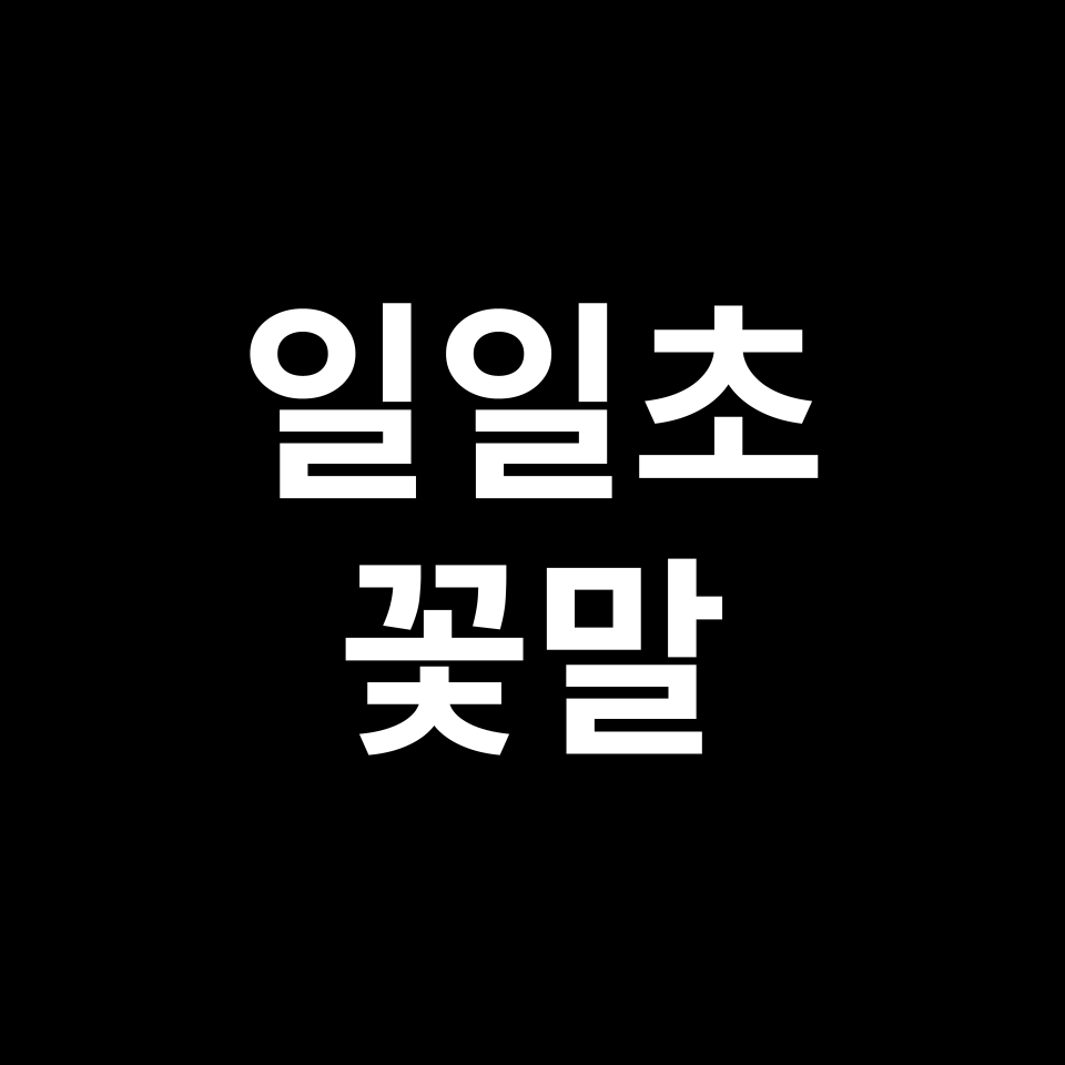 일일초 꽃말 썸네일