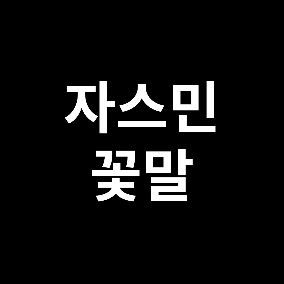 자스민 꽃말 썸네일