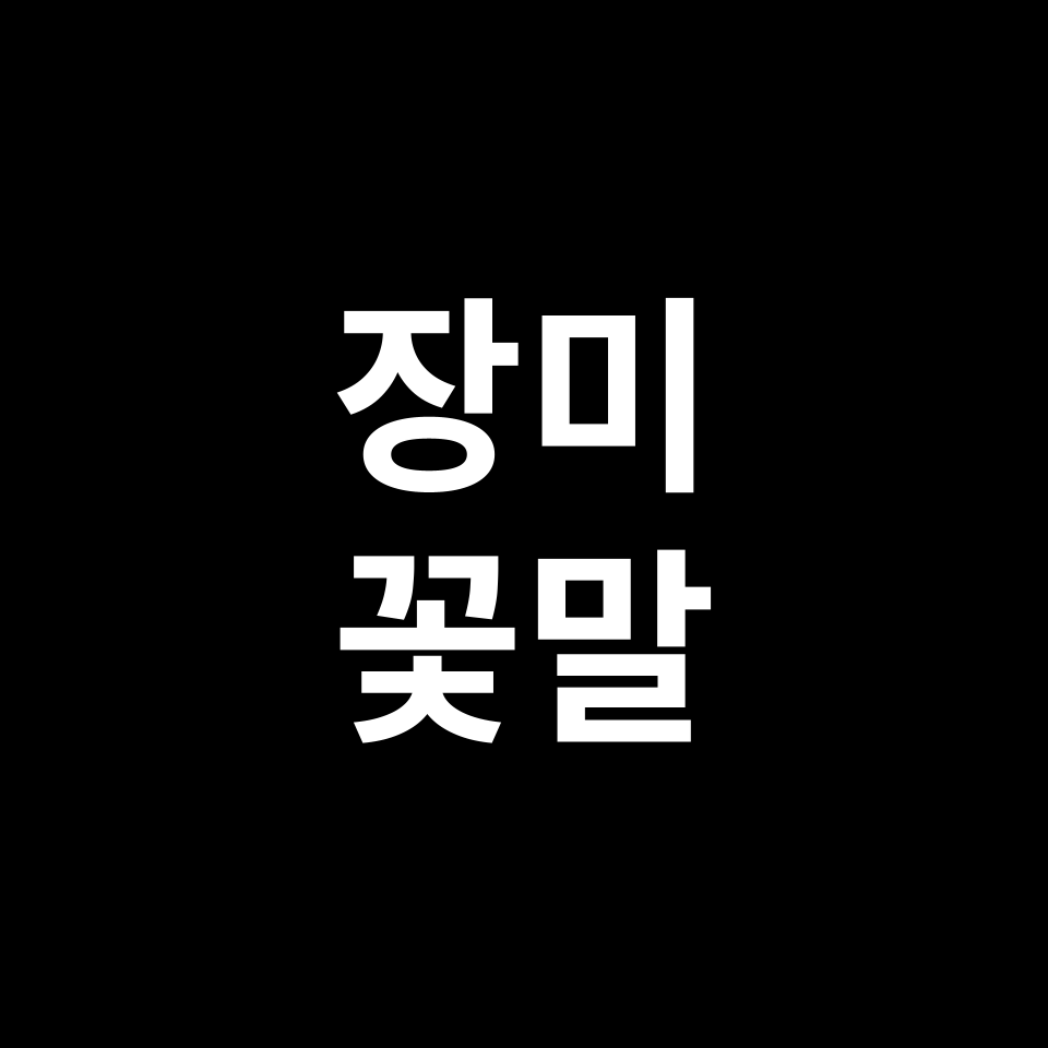 장미 꽃말 썸네일