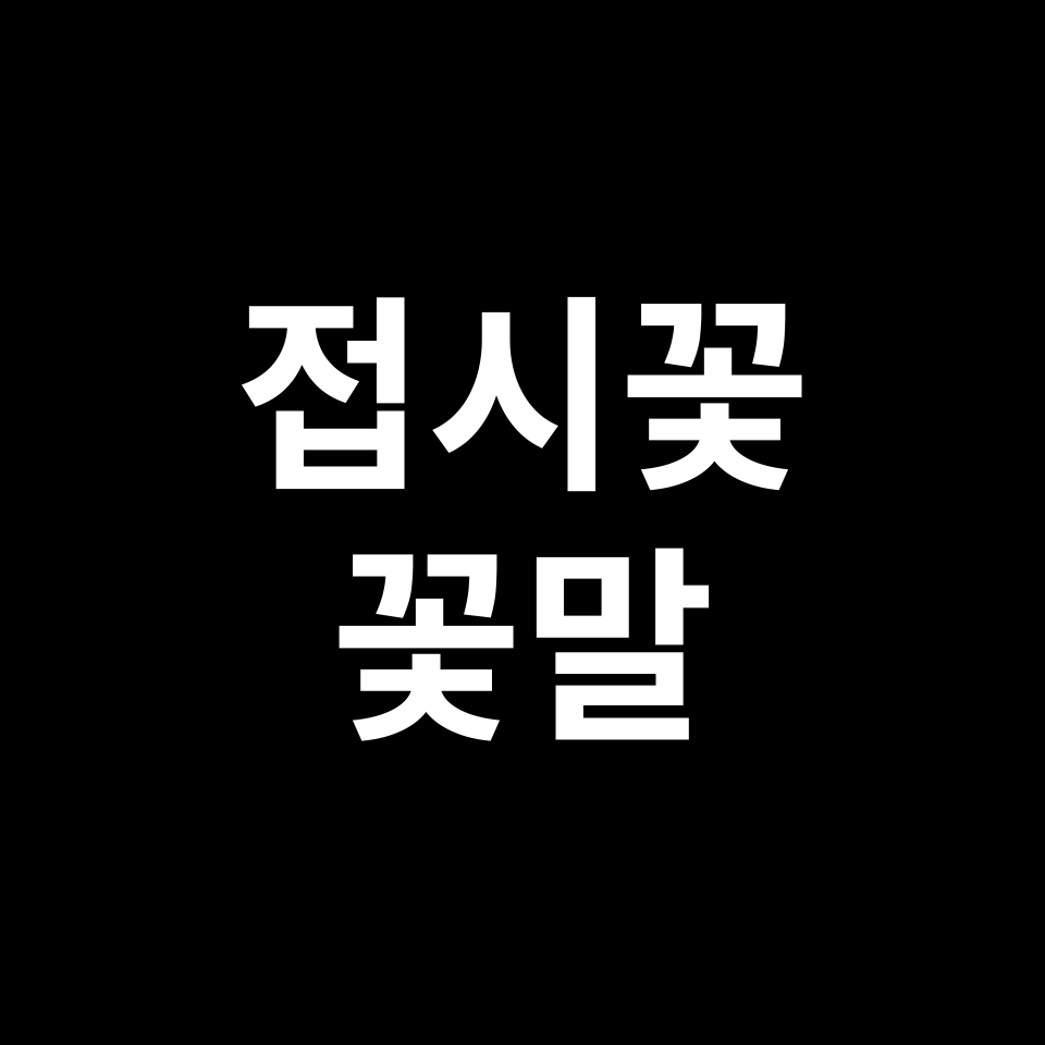 접시꽃 꽃말 썸네일
