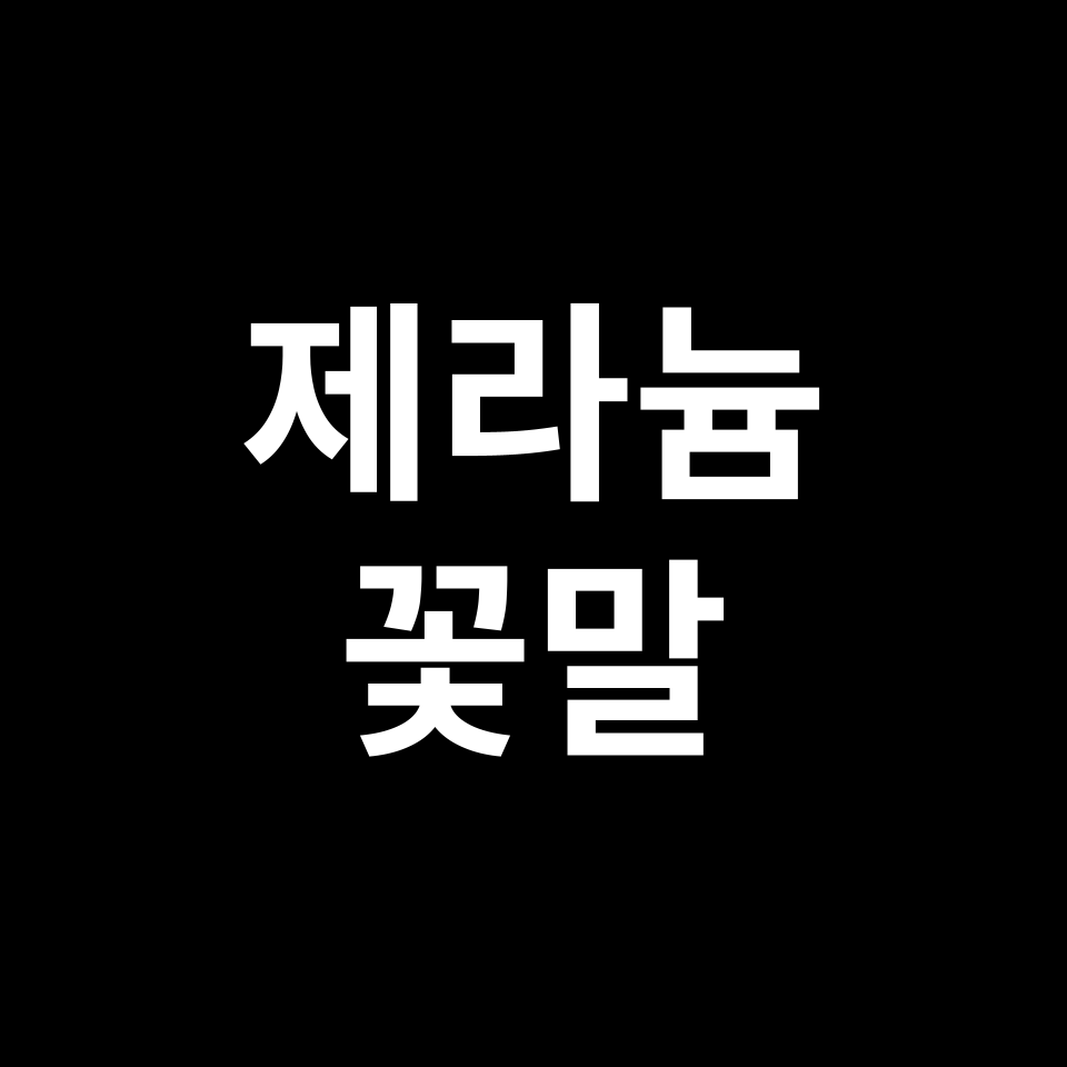 제라늄 꽃말 썸네일