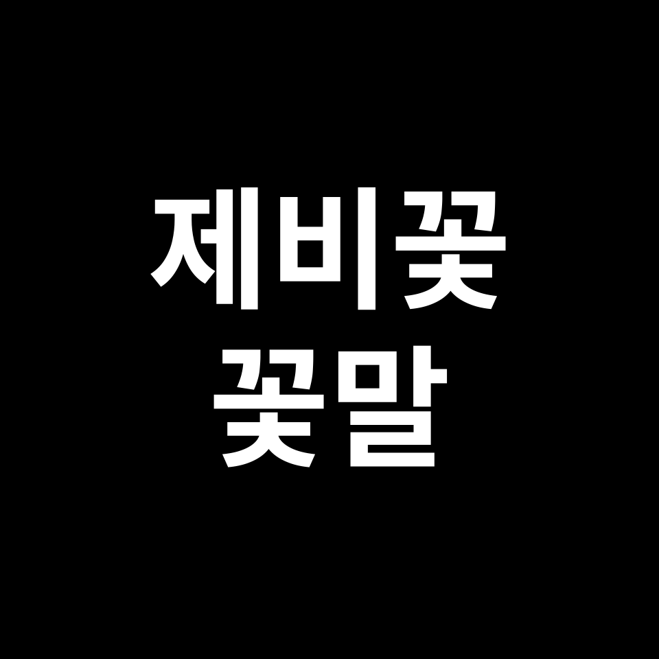 제비꽃 꽃말 썸네일