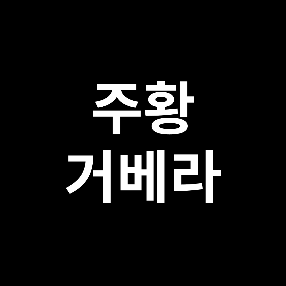 주황 거베라 꽃말 썸네일