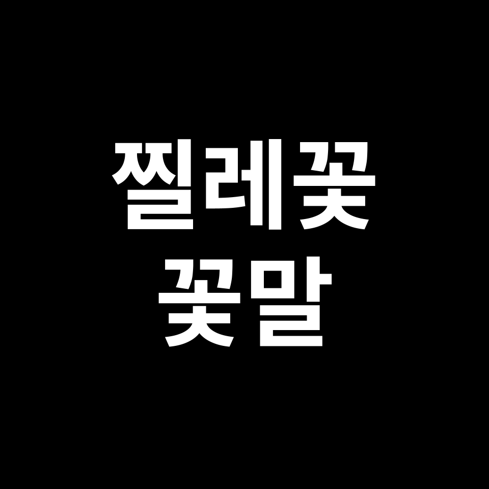 찔레꽃 꽃말 썸네일