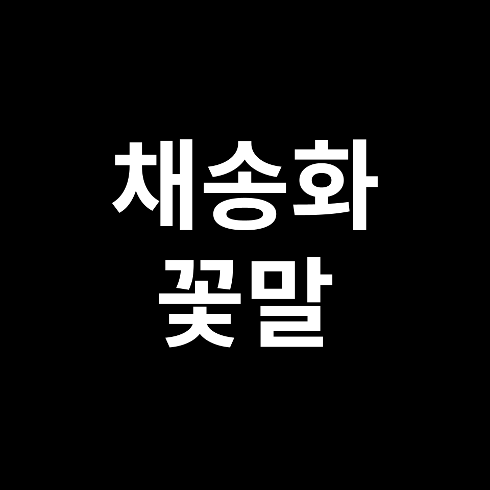 채송화 꽃말 썸네일
