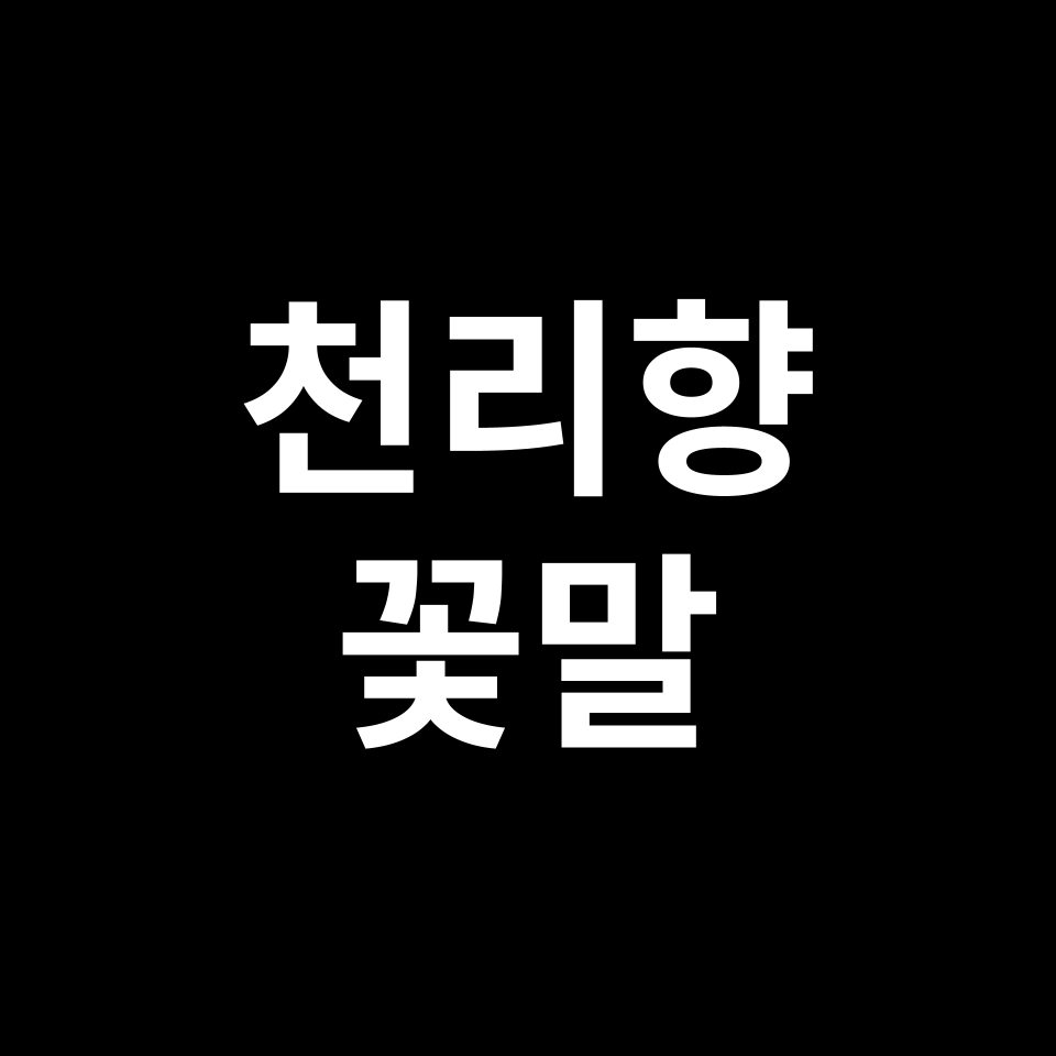 천리향 꽃말 썸네일