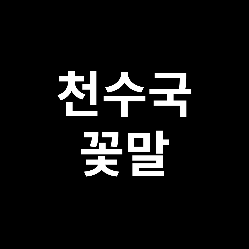 천수국 꽃말 썸네일