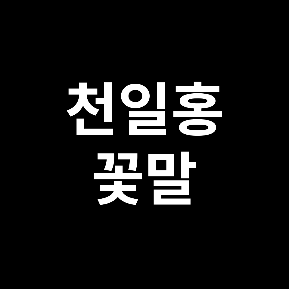 천일홍 꽃말 썸네일