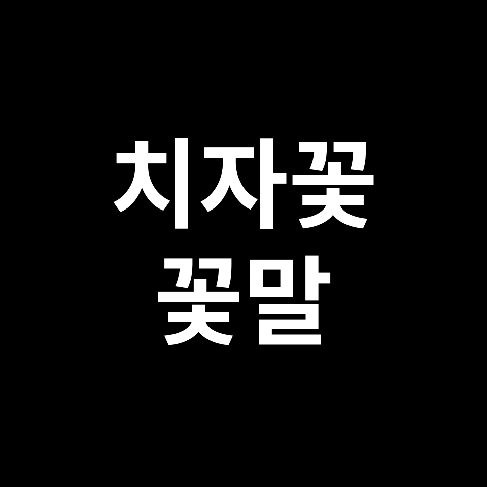 치자꽃 꽃말 썸네일