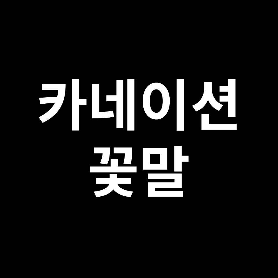 카네이션 꽃말 썸네일