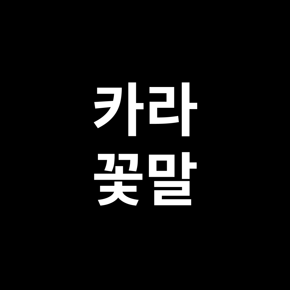 카라 꽃말 썸네일