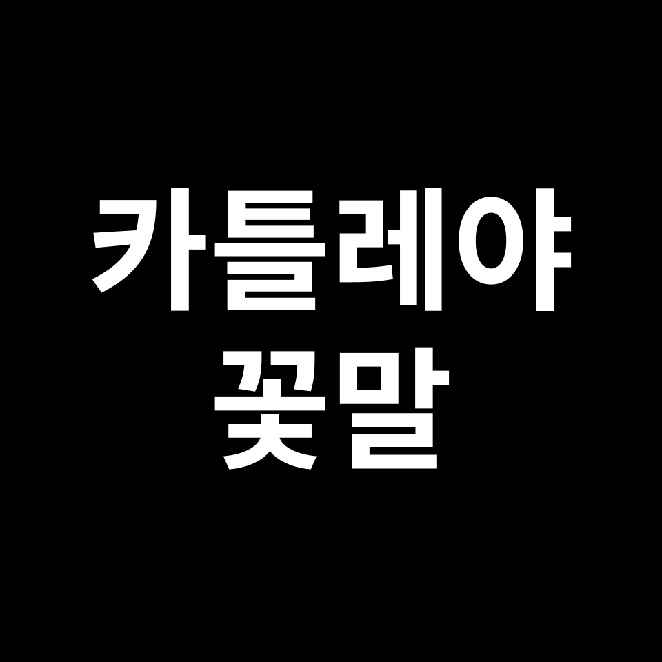 카틀레야 꽃말 썸네일