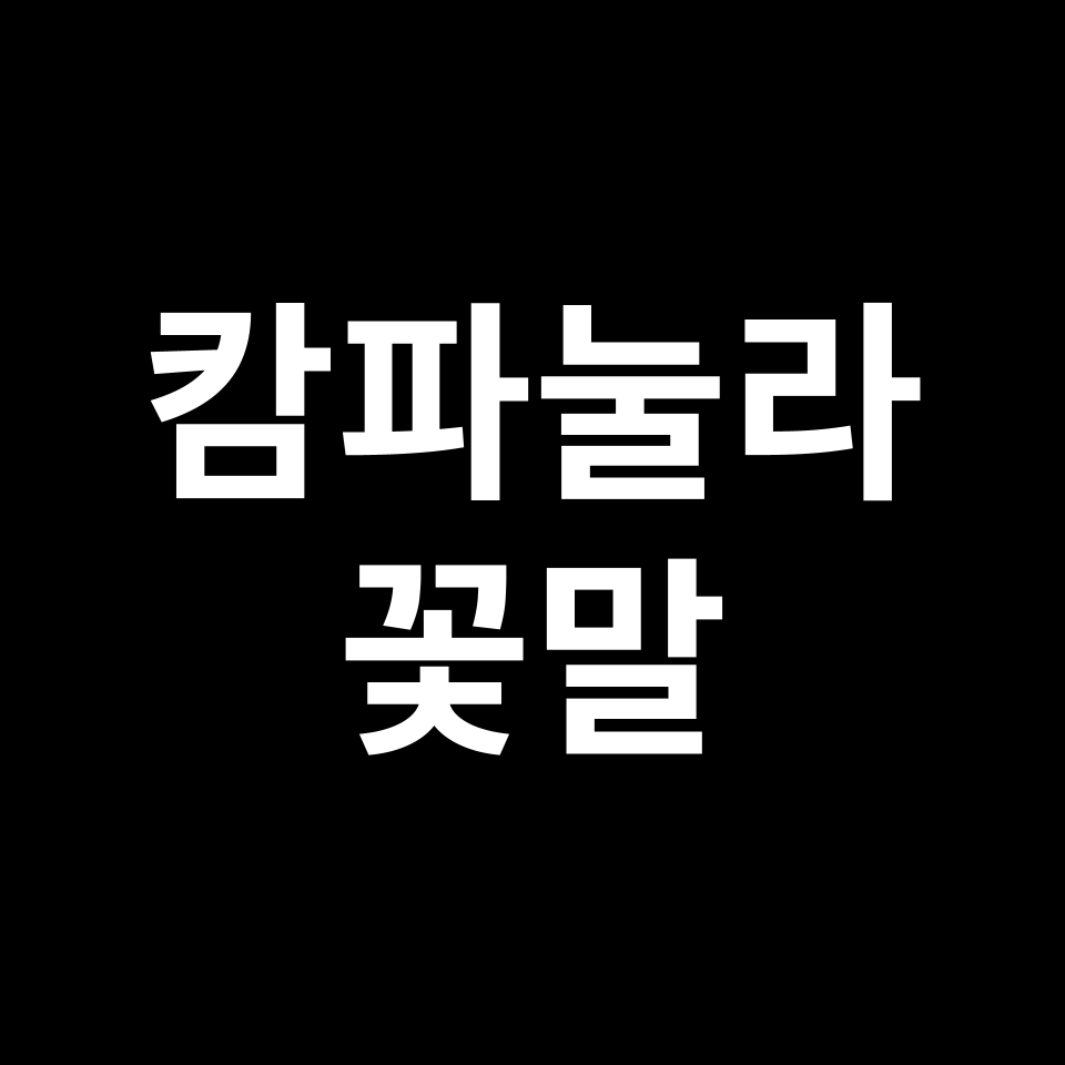 캄파눌라 꽃말 썸네일