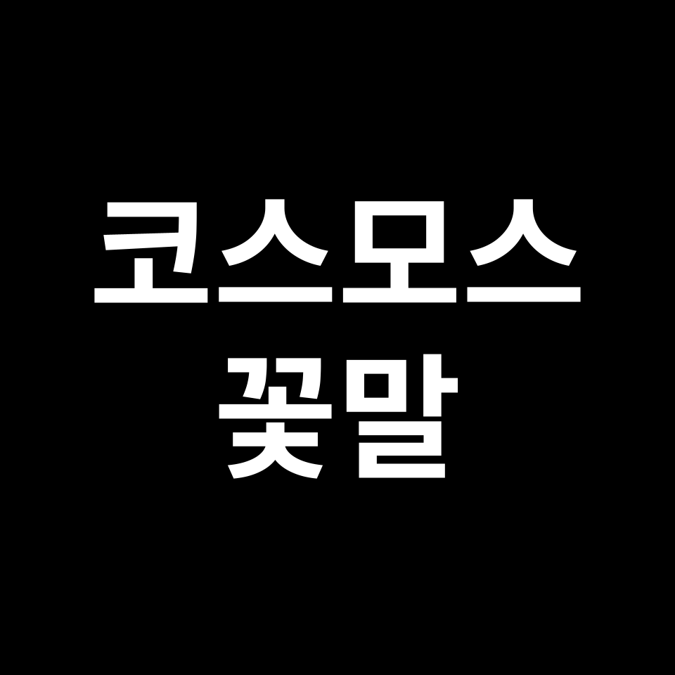 코스모스 꽃말 썸네일